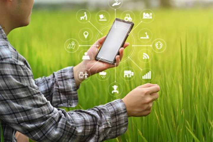Agricultural GDP in the third quarter increased by 2.93%