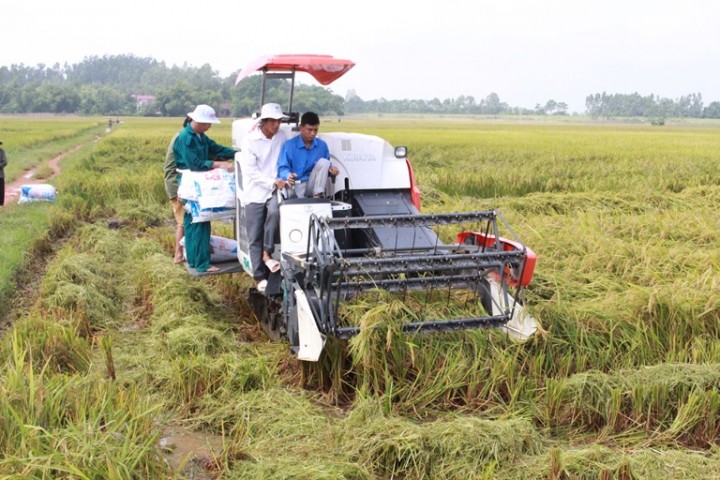 Một số dự án mời gọi thầu cung cấp thiết bị, vật tư nông lâm nghiệp ( cập nhật ngày 04,05 /07 /2019)