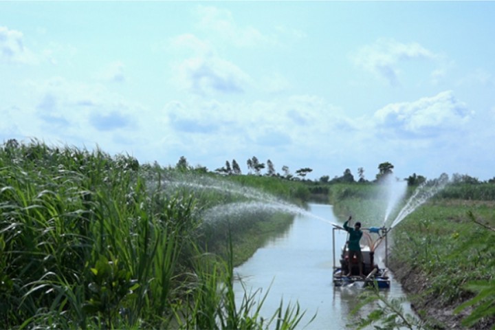 Mô hình trồng cỏ thông minh