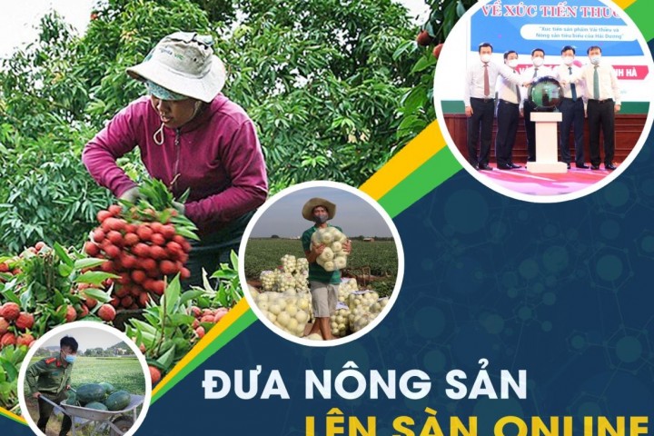 Giúp các hộ nông dân tham gia sàn thương mại điện tử