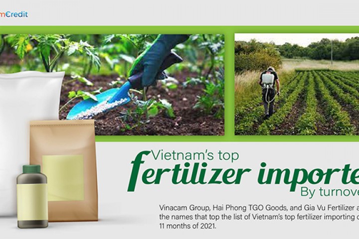 VIETNAM’S TOP FERTILIZER IMPORTERS BY TURNOVER 2021