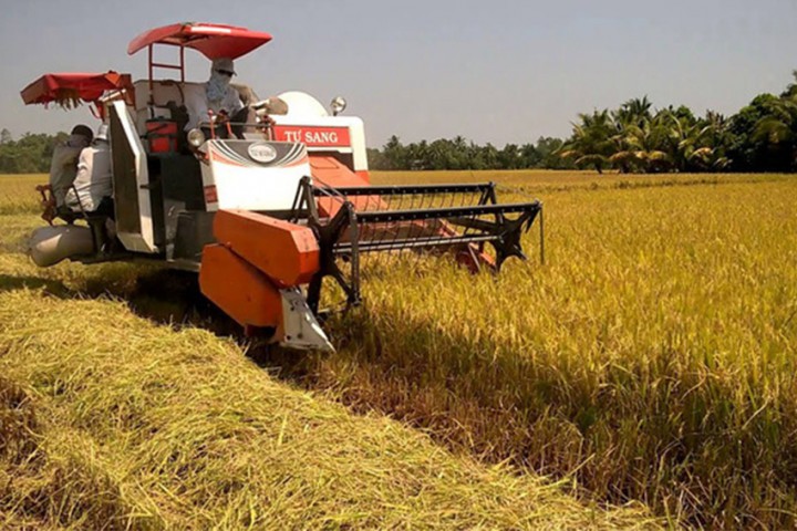Long An đưa máy bay không người lái vào sản xuất lúa