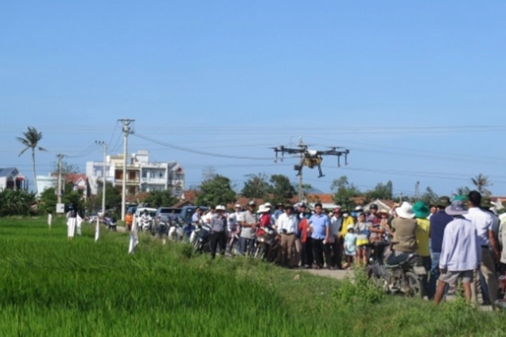 Hàng trăm nông dân xem máy bay không người lái phun thuốc