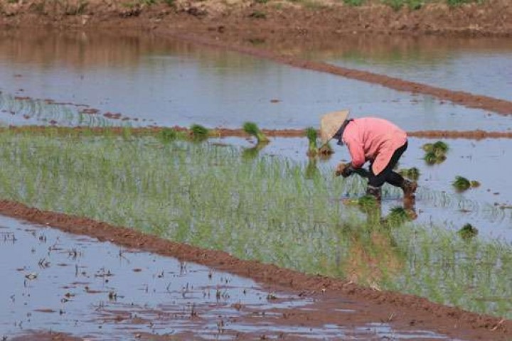 Agriculture, forestry, and fishing