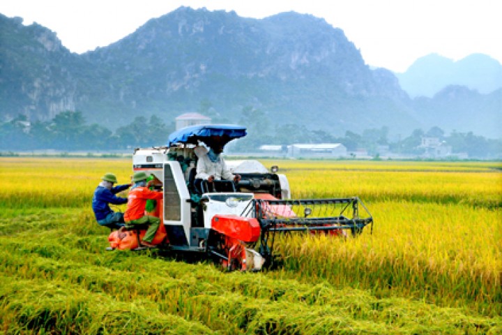 Dự báo xu hướng tăng trưởng của thị trường máy móc nông nghiệp Việt Nam (2019 - 2024)