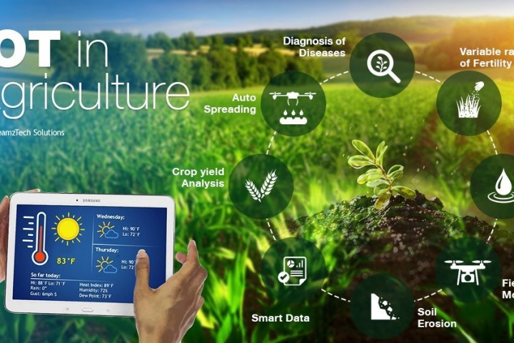 Xu hướng Công nghệ AI, IoT vào nông nghiệp tại thị trường Việt Nam hiện nay