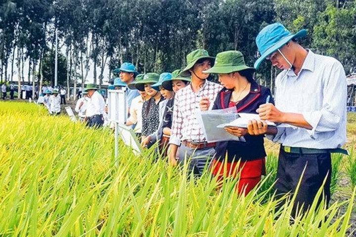 “Làm nông nghiệp thông minh không thể thiếu bản đồ số nông nghiệp”