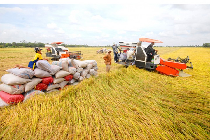 Việt Nam phấn đấu vào top 15 nước nông nghiệp phát triển nhất thế giới