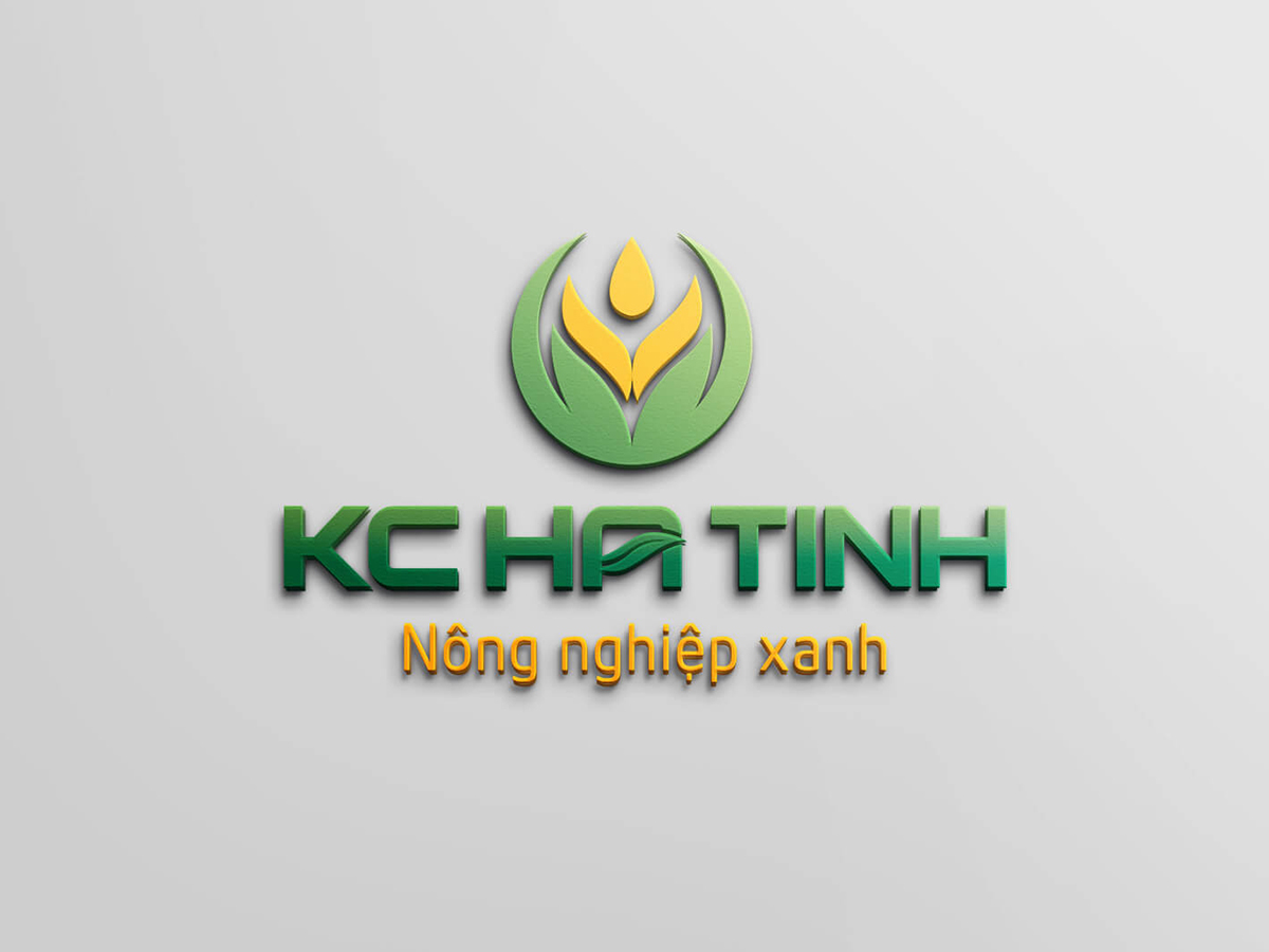 Công ty TNHH MTV KC Hà Tĩnh