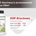 KOF-Erectness