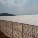 Greenhouse cover films